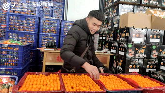 2019柳州市柑橘品牌推介會(huì)在即墨舉行